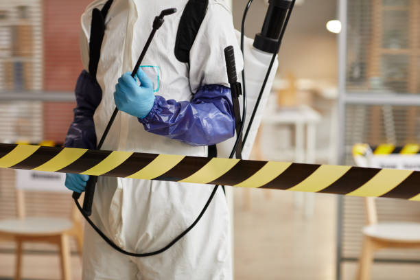 Professional Sewage Cleanup technician working in Lake Worth Beach, FL